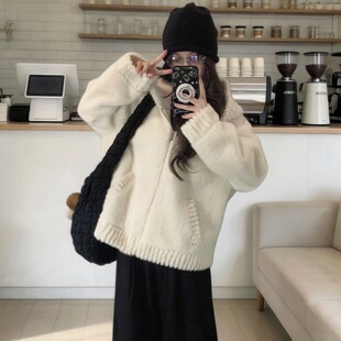 慵懒风连帽羊羔绒短款外套女冬季新款小个子保暖加厚学生毛绒上衣