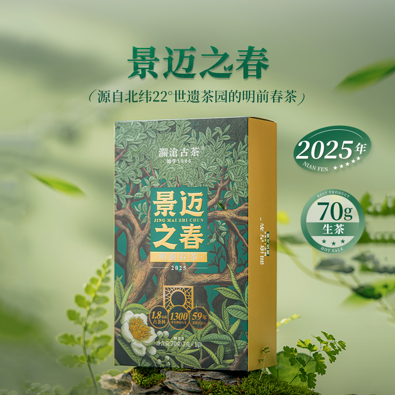 茶妈妈澜沧古茶2025年景迈之春生茶明前春茶景迈山普洱茶散茶70g