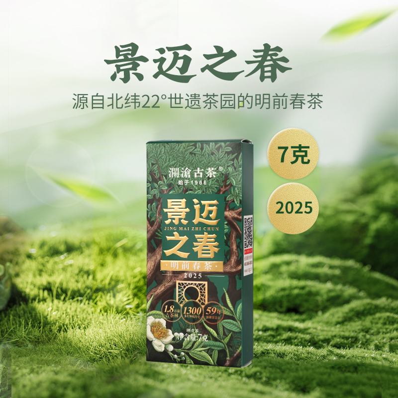2025年景迈之春新春茶试喝7g