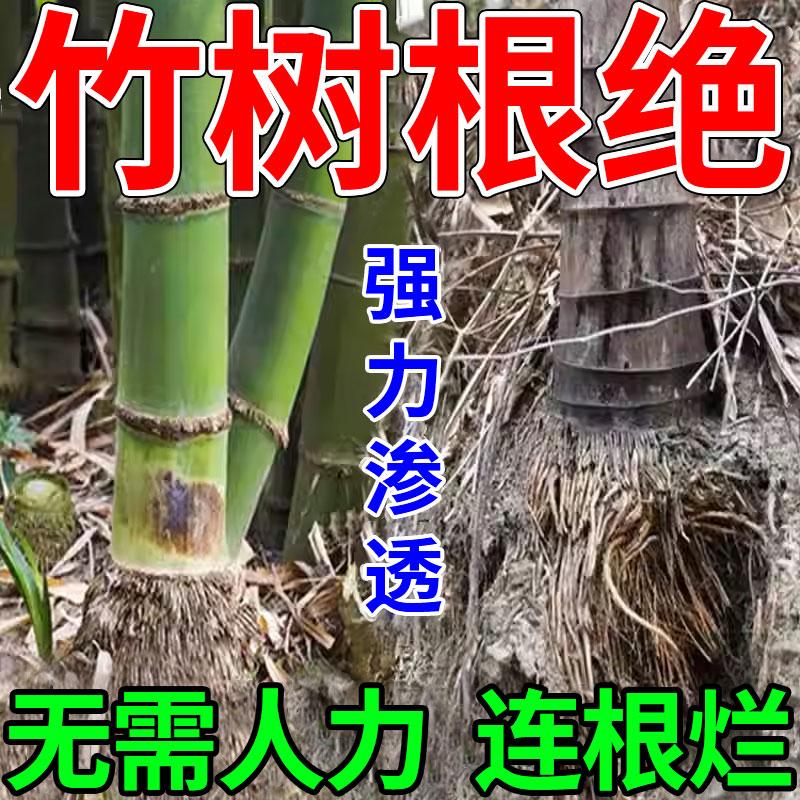 灭竹子专用药强力除杂草灌木树根