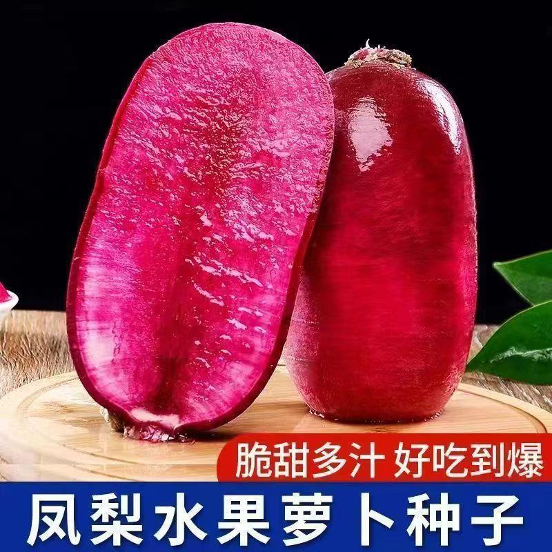 凤梨水果萝卜种卜夏季四季播生吃紫美人萝卜胭脂萝蔬菜种大全
