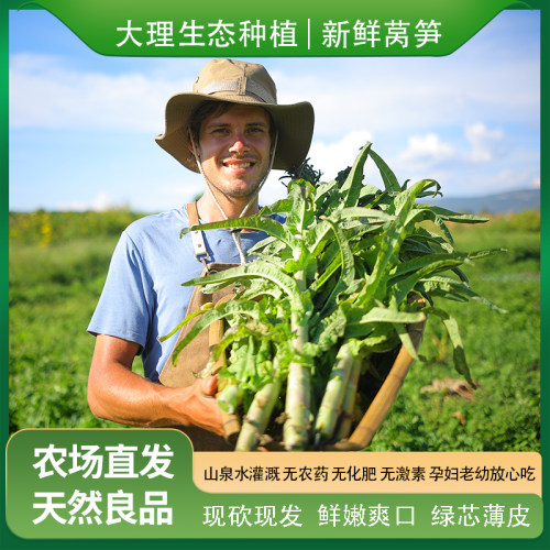 莴笋生态种植带叶大理现摘发顺丰