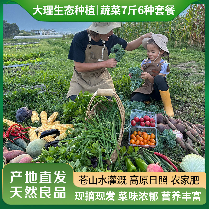 大理生态蔬菜自选套餐7斤发顺丰