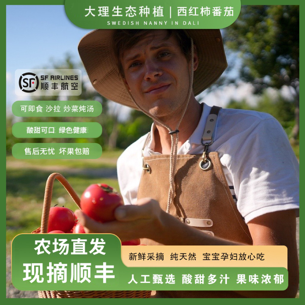 大理生态种植番茄新鲜蔬菜西红柿自然熟即食沙拉生吃现摘沙瓤顺丰