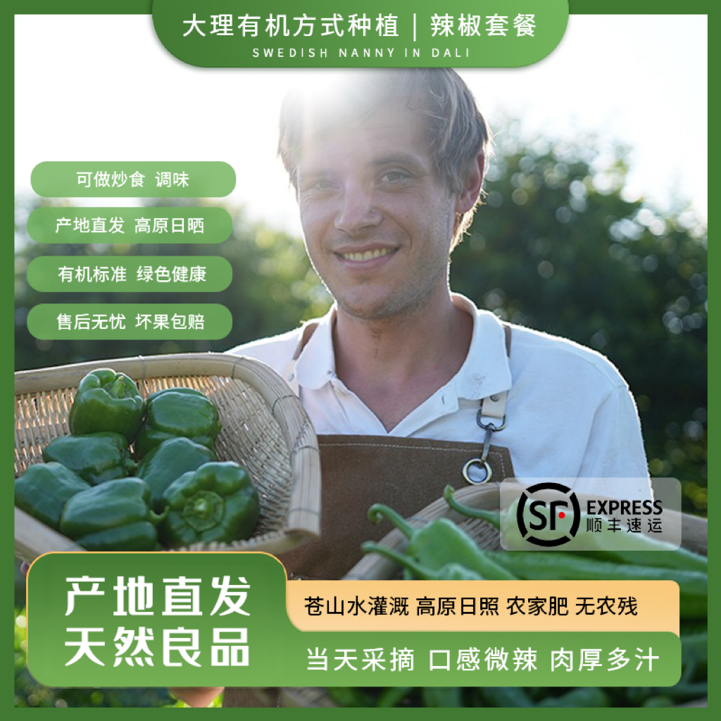 有机方式种植辣椒套餐螺丝椒辣生态青椒辛辣调味云南大理现摘顺丰