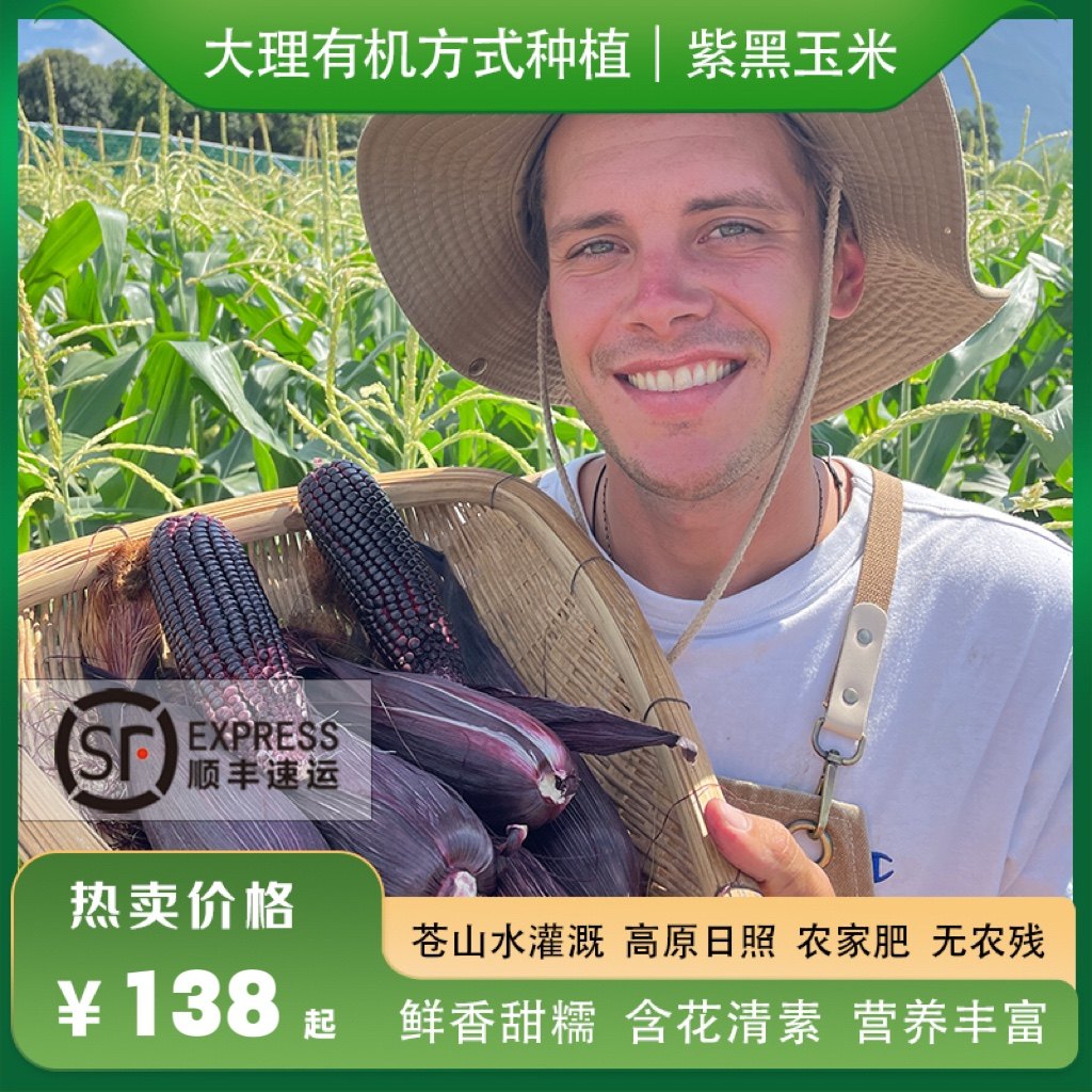 黑玉米有机方式种植生态带皮顺丰