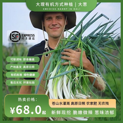 生态大葱云南无农残生吃蘸酱顺丰
