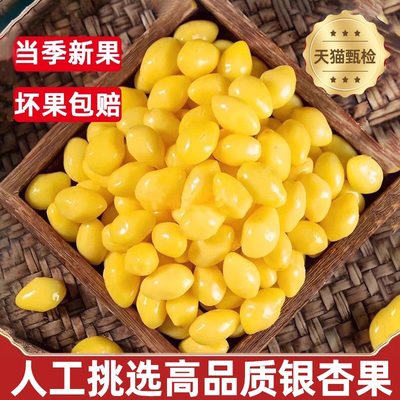 官方正品即食银杏果干货特级