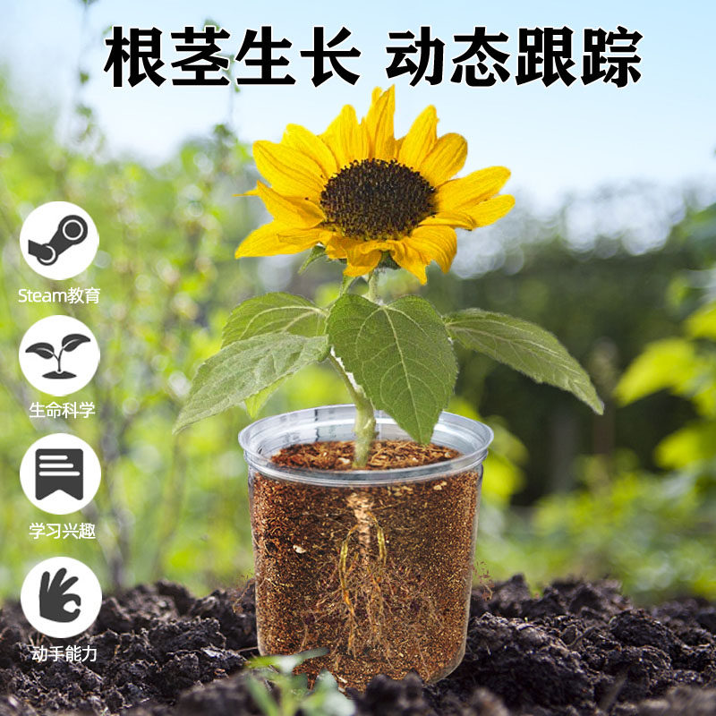 儿童玩具幼儿早教益智思维训练教师节手工diy套装少儿小孩男女孩