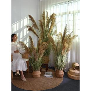 饰摆件 天然芦苇干花绿植摆件仿真草假花造景植物盆栽店面家居装