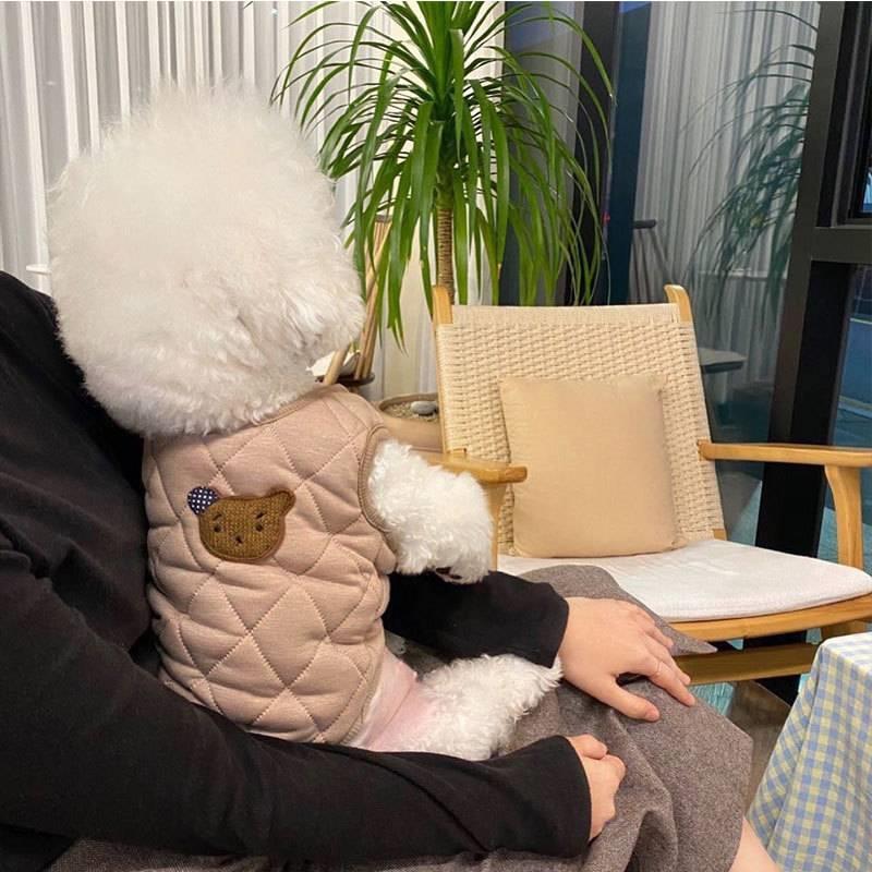 秋冬薄款小狗狗马甲泰迪贵宾比熊博美猫咪小型犬衣服冬季宠物棉衣