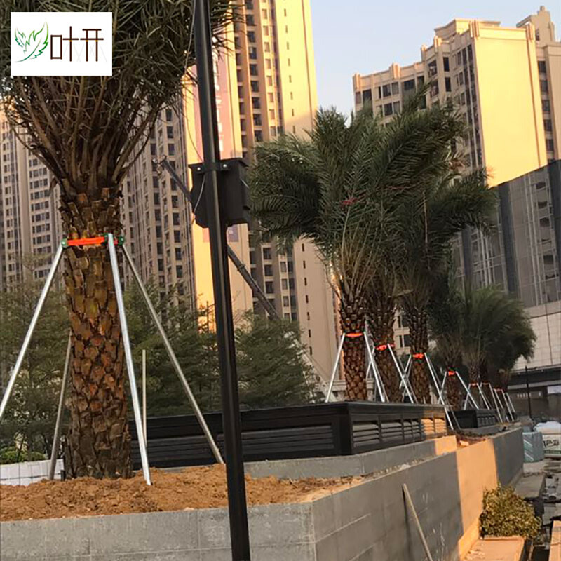 钢管树木支撑架防风支架绑带式树木支撑固定器园林绿化苗木支架