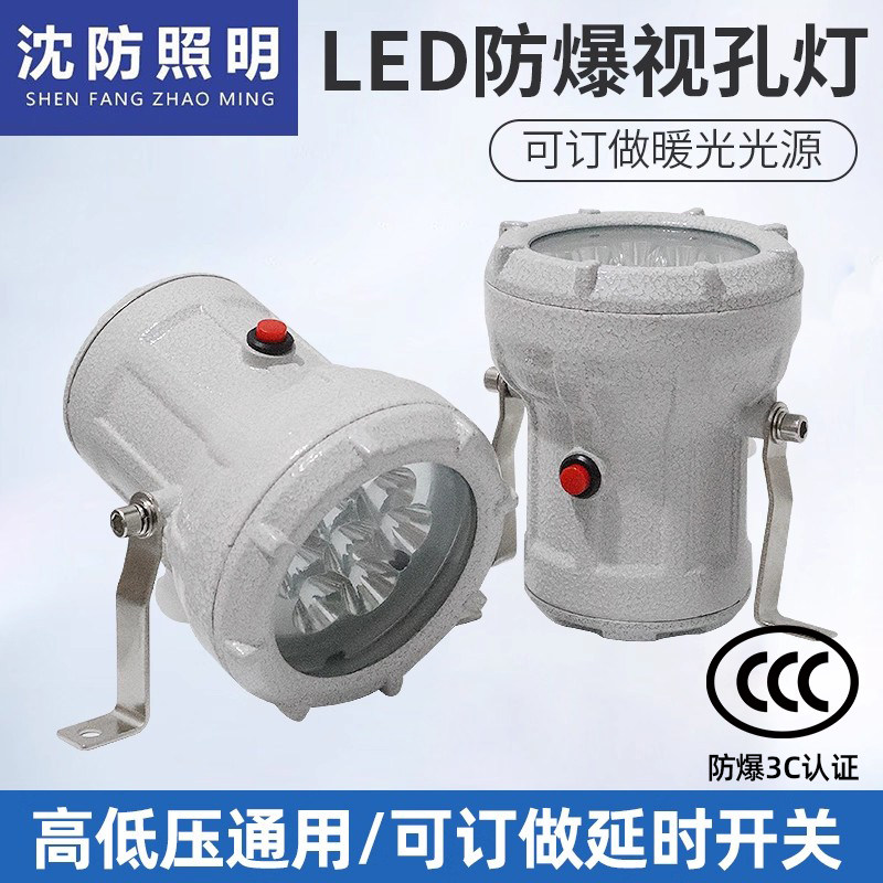 沈防LED防爆视孔灯反应釜视镜灯BSD探照射灯12v24V36V化工厂车间