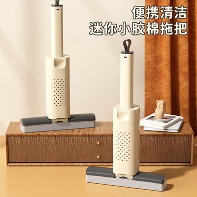 厨房迷你小拖把免手洗强力去污