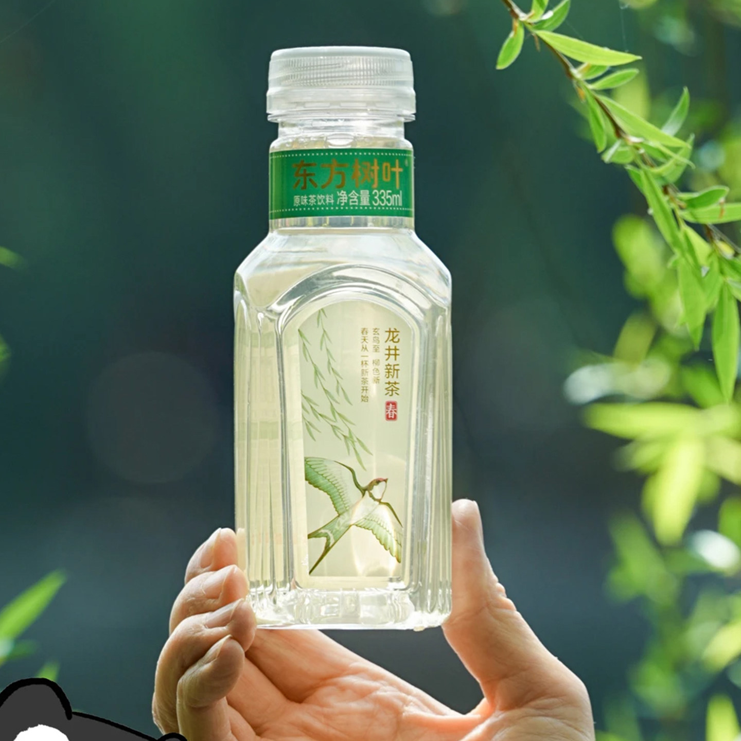 东方龙井新茶东方树叶龙井新茶茉莉花茶绿茶乌龙茶饮料饮品2026年