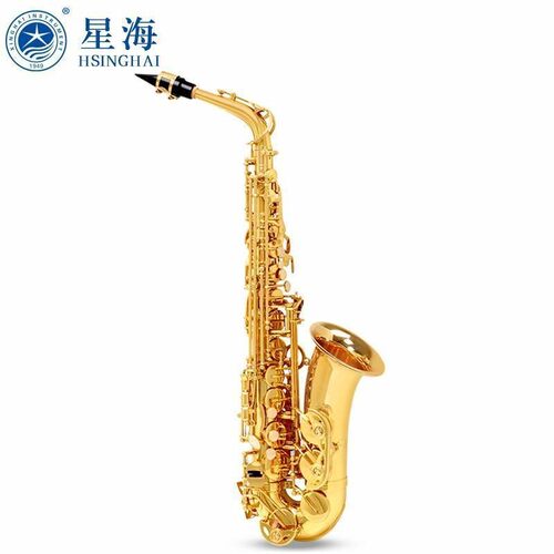 新星海降E调乐器成人初学