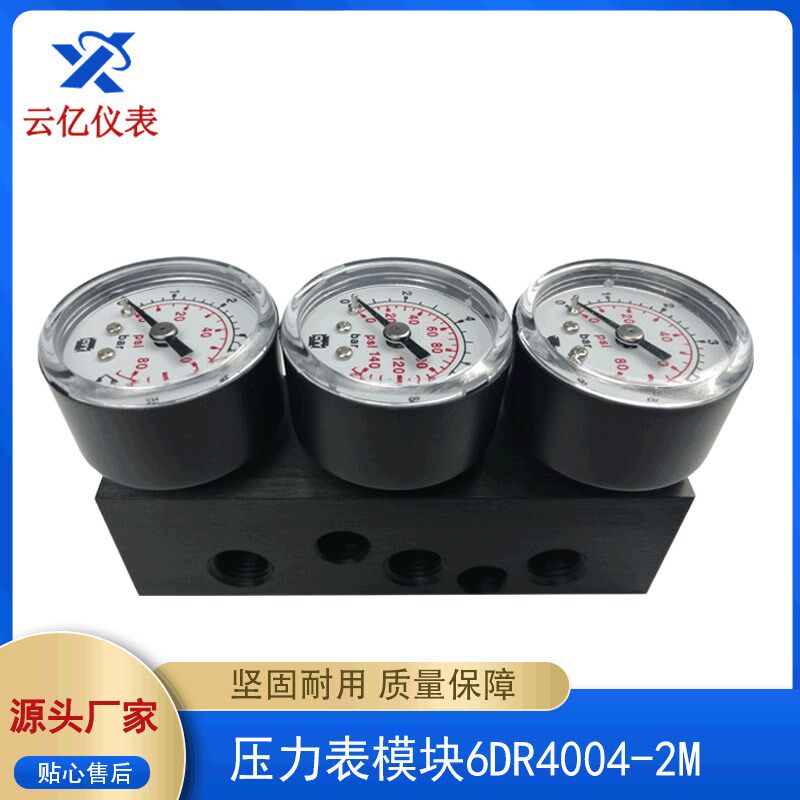 双作用压力表模块6DR4004-2M 阀门定位器安装附件压力表模块现货
