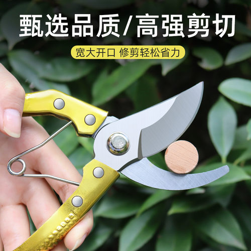 园林工具修枝剪果树剪 园艺剪刀 省力粗枝树枝剪刀