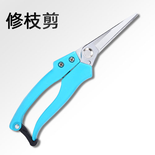 蓝柄长直园艺果剪园林剪修枝剪摘果剪整枝剪花剪果蔬剪稀果剪
