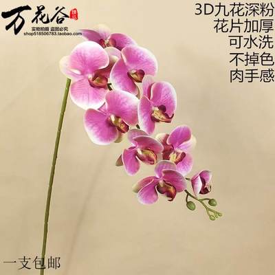 仿真花蝴蝶兰pu手感过胶单支干花饰假花客厅餐桌摆设摆放兰花包邮