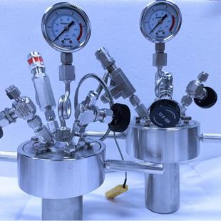 WJGSA 200ml不锈钢高压简易反应釜不锈钢高压反应罐反应器简易