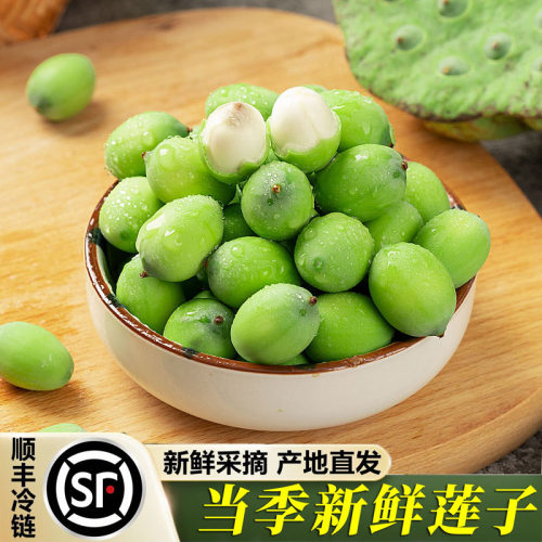 当季现剥鲜嫩莲子莲蓬顺丰