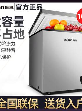 海冉商用冷柜小型小冰柜家用迷你大容量单双门节能冷藏冷冻柜