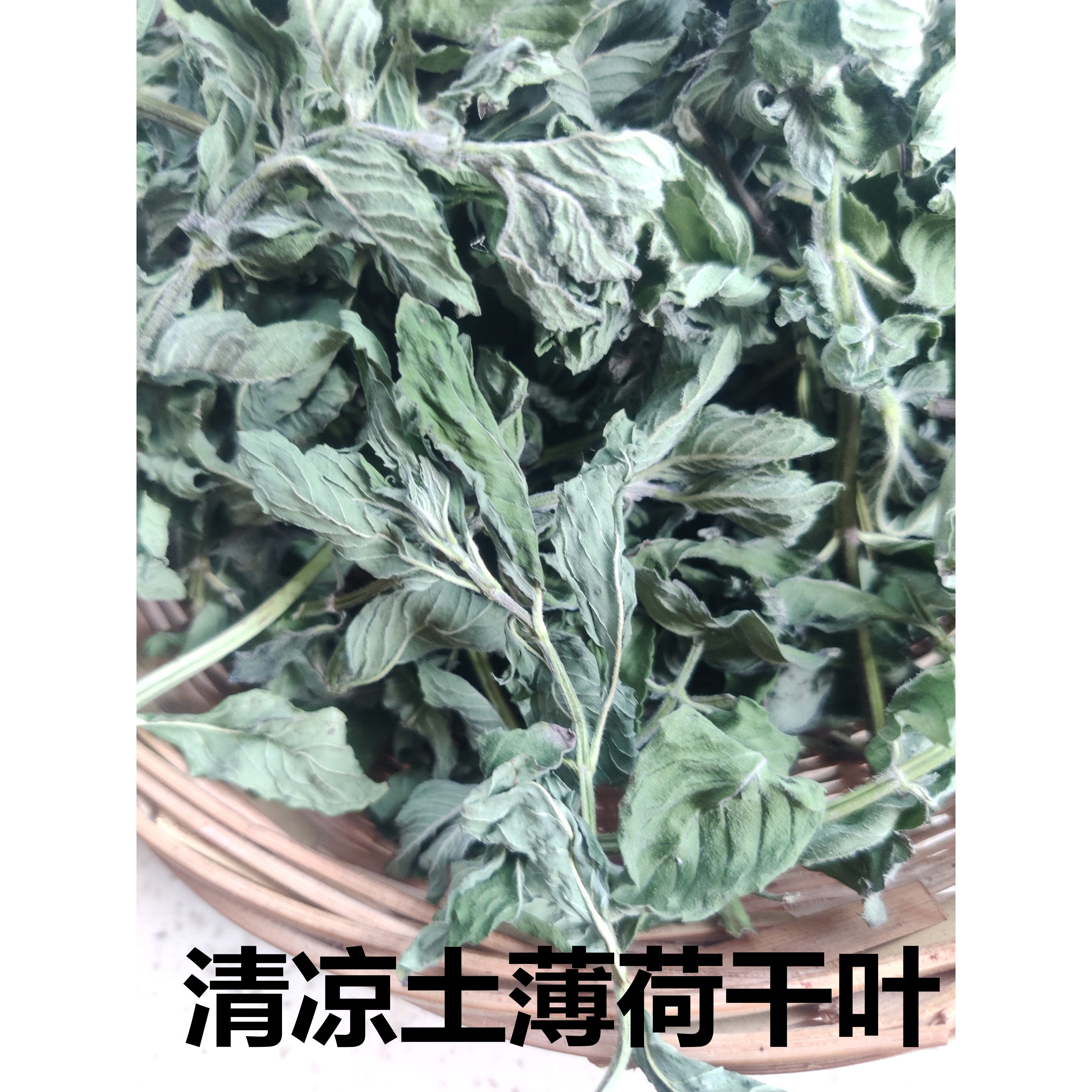2026干薄荷药用叶泡茶清凉土薄荷新鲜食用药用薄荷提神醒脑去口臭