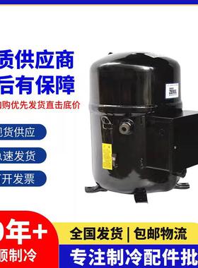 H2BG124 144DBEE H2NG244DREF DBEF H2NG294DPEF冷水机压缩机