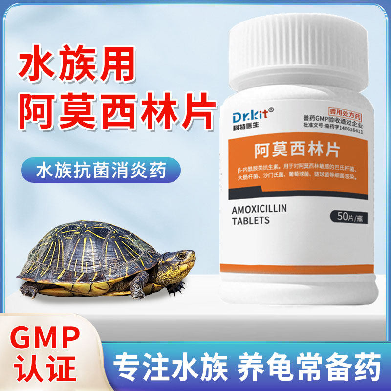 阿莫西林乌龟肺炎专用药感冒鱼病鱼药烂身烂尾白眼乌龟药腐皮烂甲,宠物/宠物食品及用品,水族药品药剂,淘宝优惠券,粉丝福利购,淘宝优惠卷
