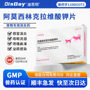宠物阿莫西林克拉维酸钾片猫狗用消炎药猫咪狗狗感冒速泌诺尿感染