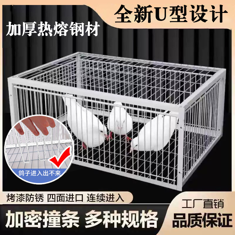 补笼全自动天落笼子撞门捕捉抓收鸽子鸟神器捕笼器加密款网防锈