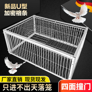 补笼全自动天落笼子撞门捕捉抓收鸽子家禽神器捕笼器加密款网防锈