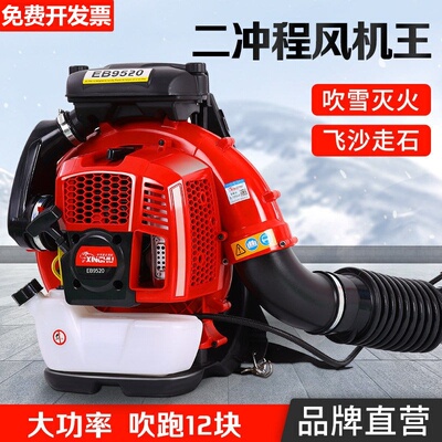 德国进口博士二冲程除尘机大功率背负汽油吹风机风力灭火机扫雪吹
