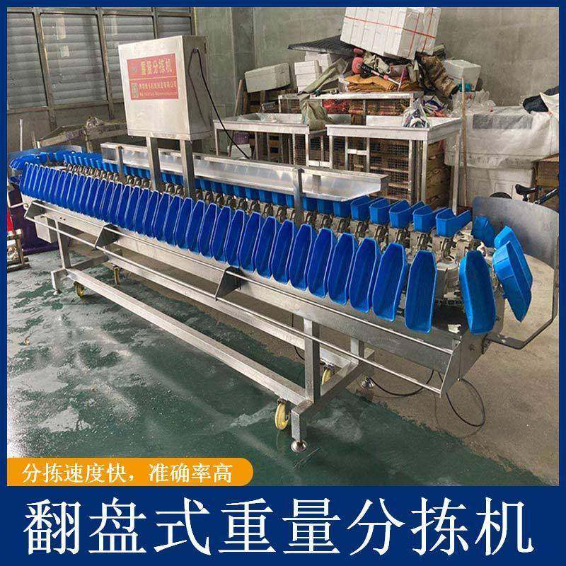 料盒翻盘式重量分级机海参分拣机牡蛎生蚝分选机厂家分装直供高效,五金/工具,其他包装设备,淘宝优惠券,粉丝福利购,淘宝优惠卷