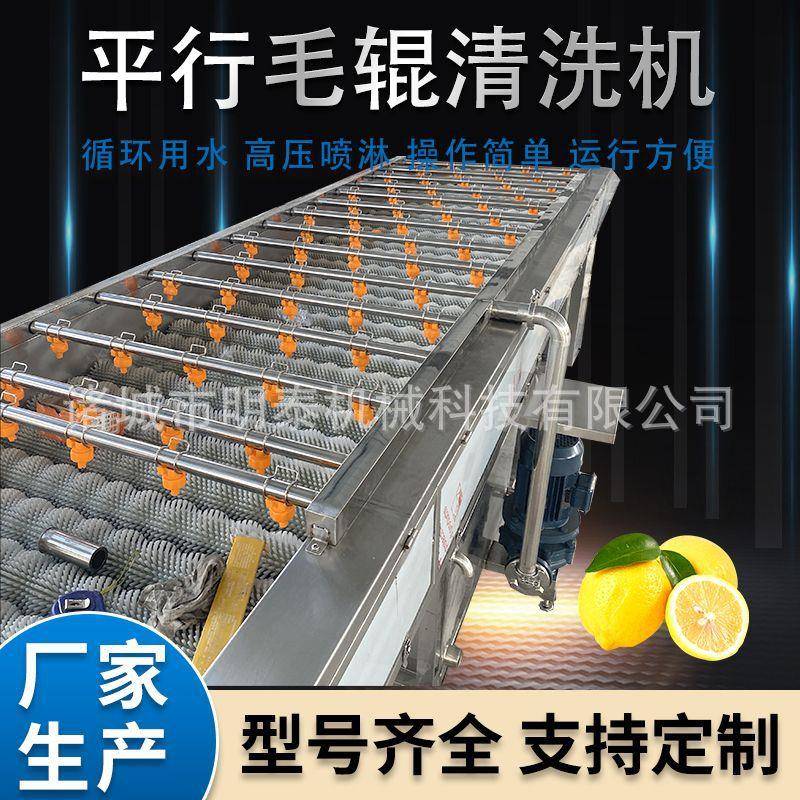 夏橙平行毛辊清洗机粑粑柑砂糖橘洗果机大姜海蛎子清洗去泥机