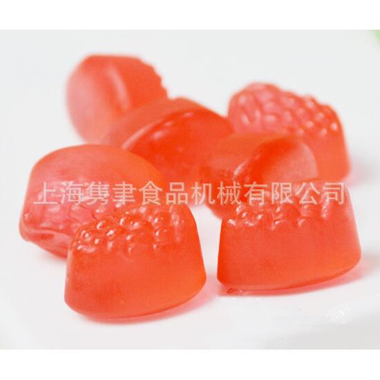 级果胶软糖成型机 半自动益生菌软糖设备 全套乳清蛋白粉软糖机