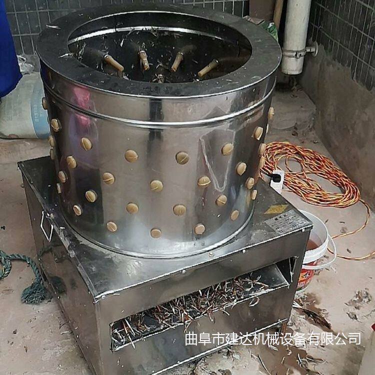 小型脱毛机鸡鸭鹅拔毛加工 不锈钢家禽打毛机多少钱 电动褪毛机