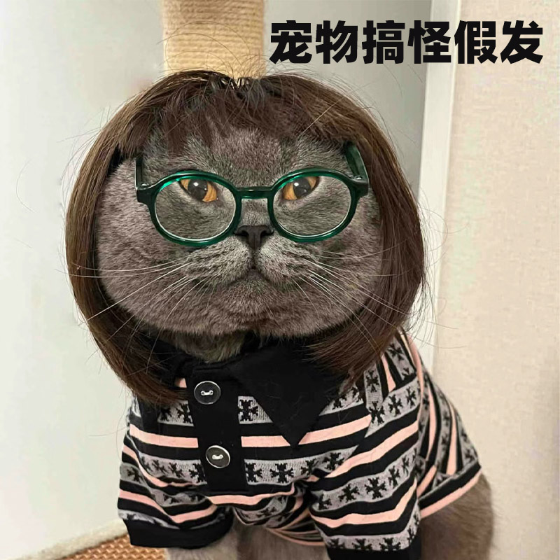 狸奴拍照变装可爱搞怪宠物假发
