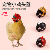 小宠头盔鹦鹉保护头套小鸡防啄帽子鸽子安全帽破风鸭拍照装 饰头套