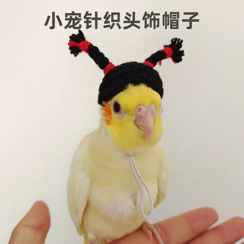 狸奴仓鼠鹦鹉手工针织小宠头饰帽