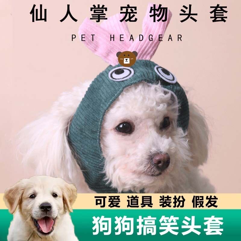 猫咪狗狗帽子小型犬泰迪比熊博美保暖可爱头套搞怪变装拍照头饰冬