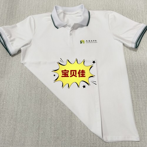 定制棉天通苑学校同款夏季短袖校服领子白底二道粗细墨绿条