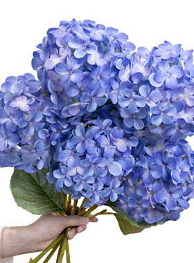 仿真绣球花4支装布景婚礼客厅花束高档蓝色商场绢花粉色摆放花墙