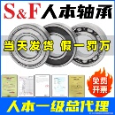 6309 S&F人本轴承6203 6202 6206大全6201 6308 6204高速6205正品