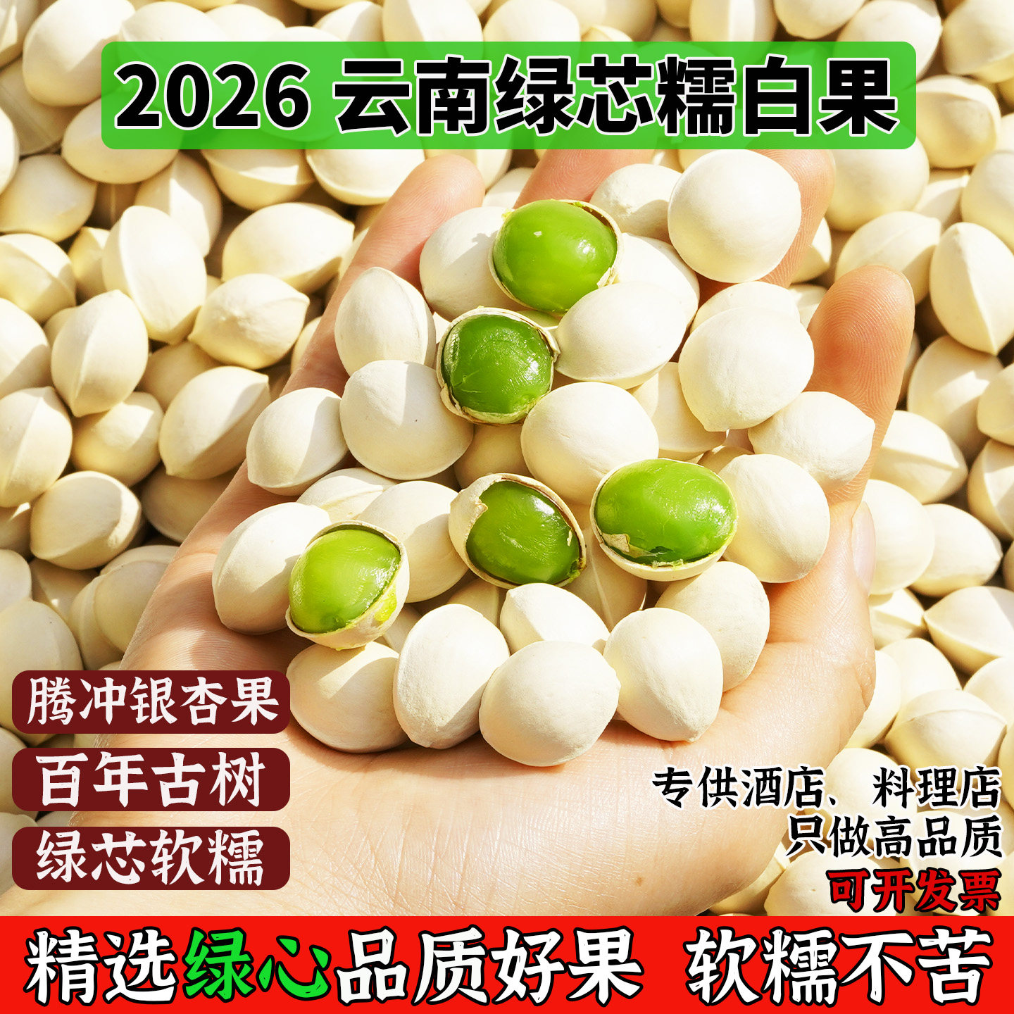 腾冲银杏村古树绿芯糯白果