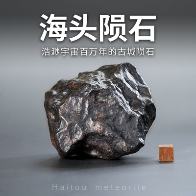 新疆天然陨石原石摆件海头陨石宇宙保真石陨石手把件把玩件陨星石