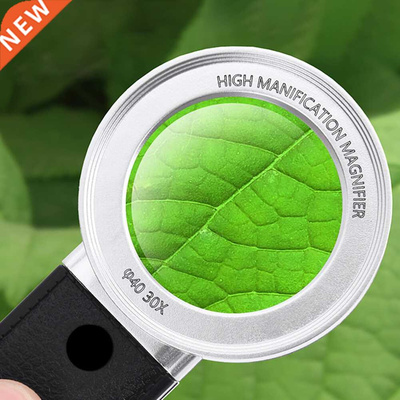Reading Inspection Illuminated Magnifier w/ 4LED Handheld