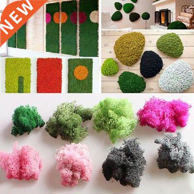 NEW Natural Norwegian Moss Preserved Dried Craft Flower