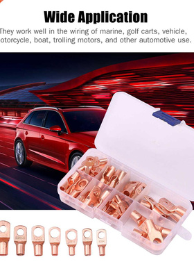 125PCS Wire Lugs Kit Assorted Wire Lugs Kit Includes 65PCS C